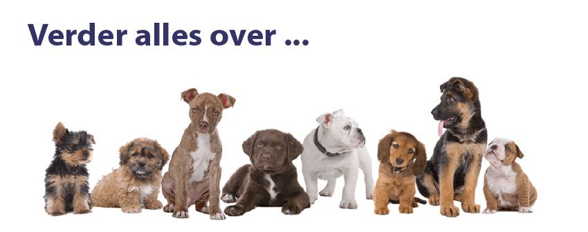 pups