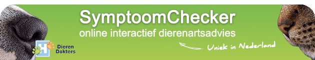 banner bovenaan nieuwsbrief