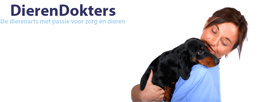 dierenarts