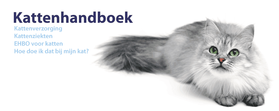 katten