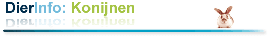konijnen