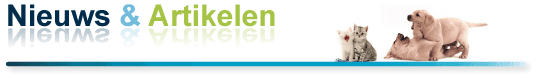 nieuws-en-artikelen
