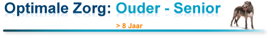 oude hond