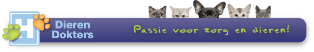 nieuwsbriefheader