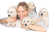 puppyclub