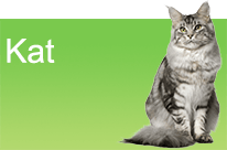 Kat 1