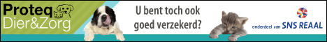 468x060_dz_algemeen.gif