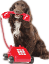 contact.png
