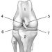 thumb_orthopedie.jpg