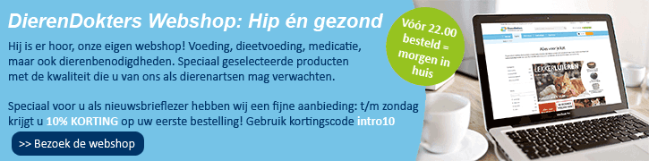 Webshop Nieuwsbrief 2