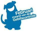 feb-gebit.jpg