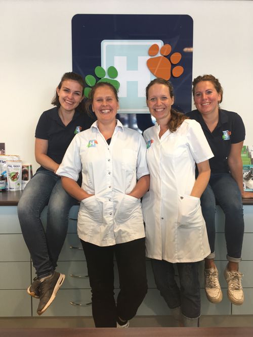 team dierenarts zandvoort