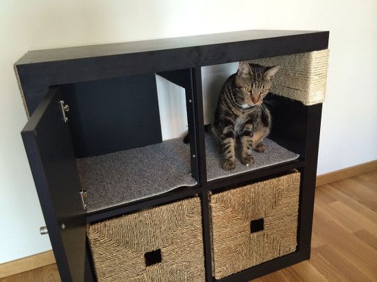 7 IKEA hacks die je kat fantastisch zal vinden - Kattenmeubel Kallax Met Deur