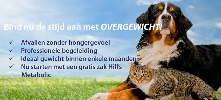 Overgewicht nieuwsbrief