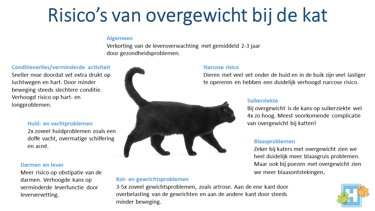 Overgewicht risico kat