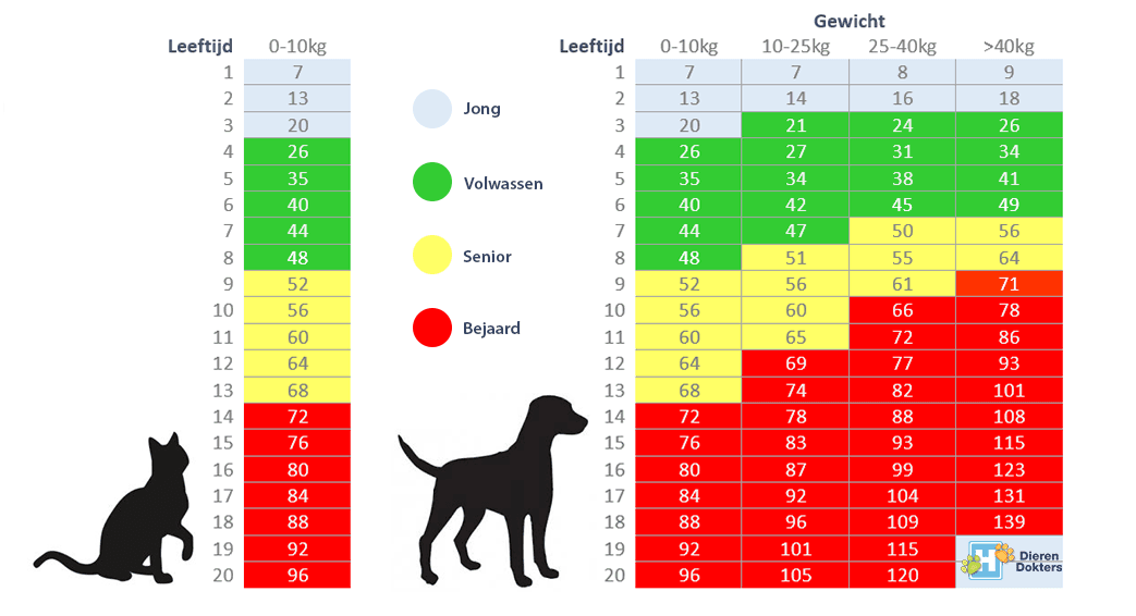 Leeftijd hond kat