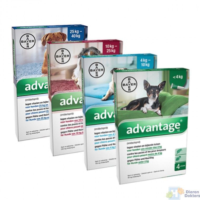 advantage hond assortiment