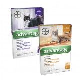 Advantage Kat