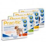Practic Hond