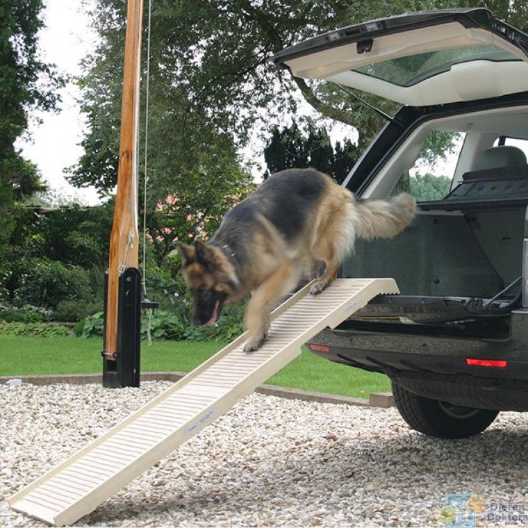 dogstep loopplank auto hond 6