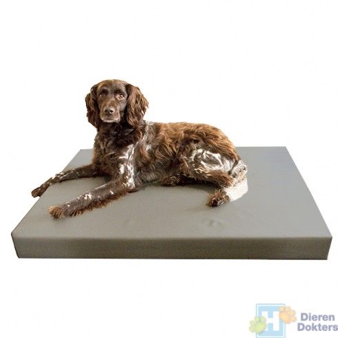 hd dogbed hondenbed hondenmand hond artrose 2