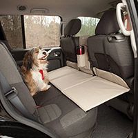 vingerafdruk Wijzigingen van Specifiek Met de hond in de auto