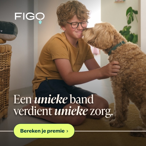 img500x500hond Figo