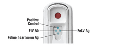 felv test kat