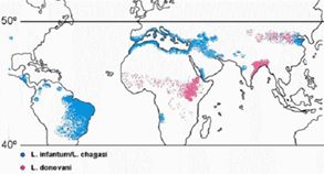 map_leishmania.jpg