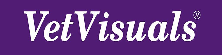 vvi logo