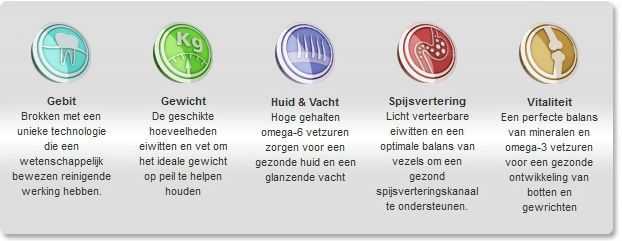 VetEssentials-Adult-hond