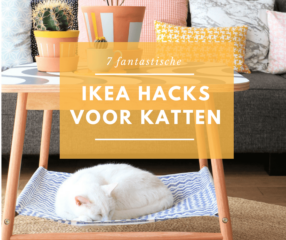 7 IKEA hacks je kat fantastisch zal vinden