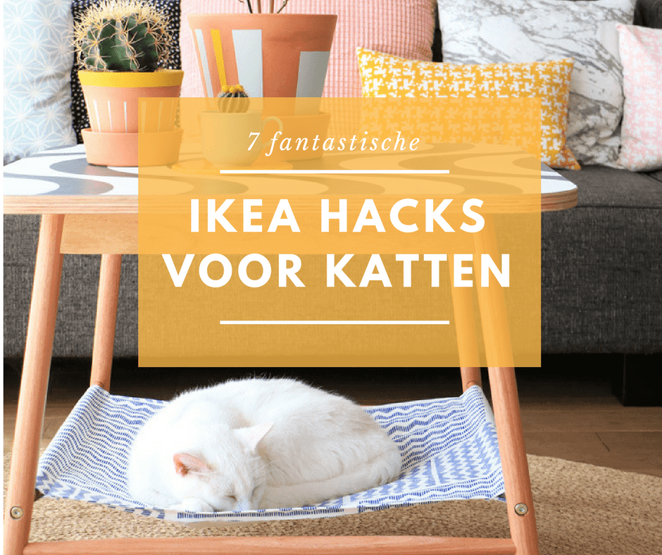 wakker worden rivier stormloop 7 IKEA hacks die je kat fantastisch zal vinden