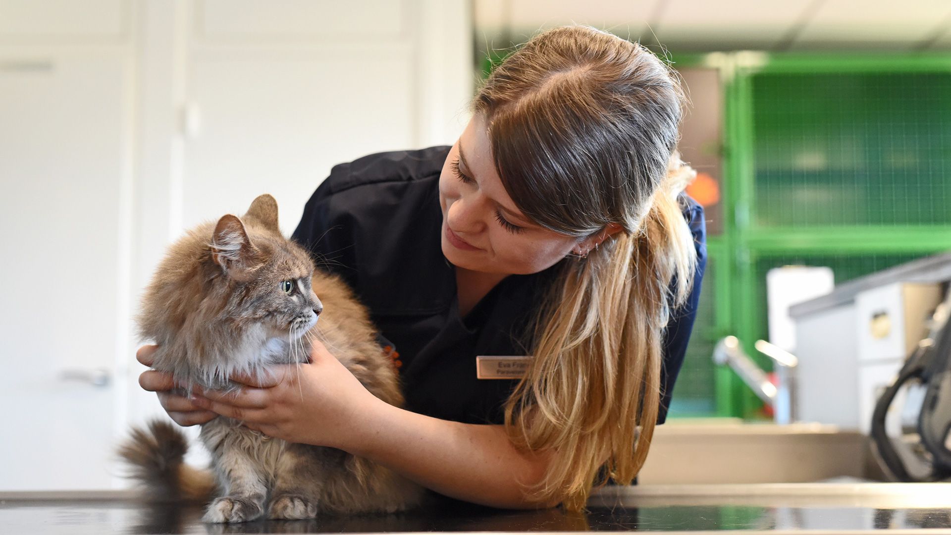 DierenDokters Ede