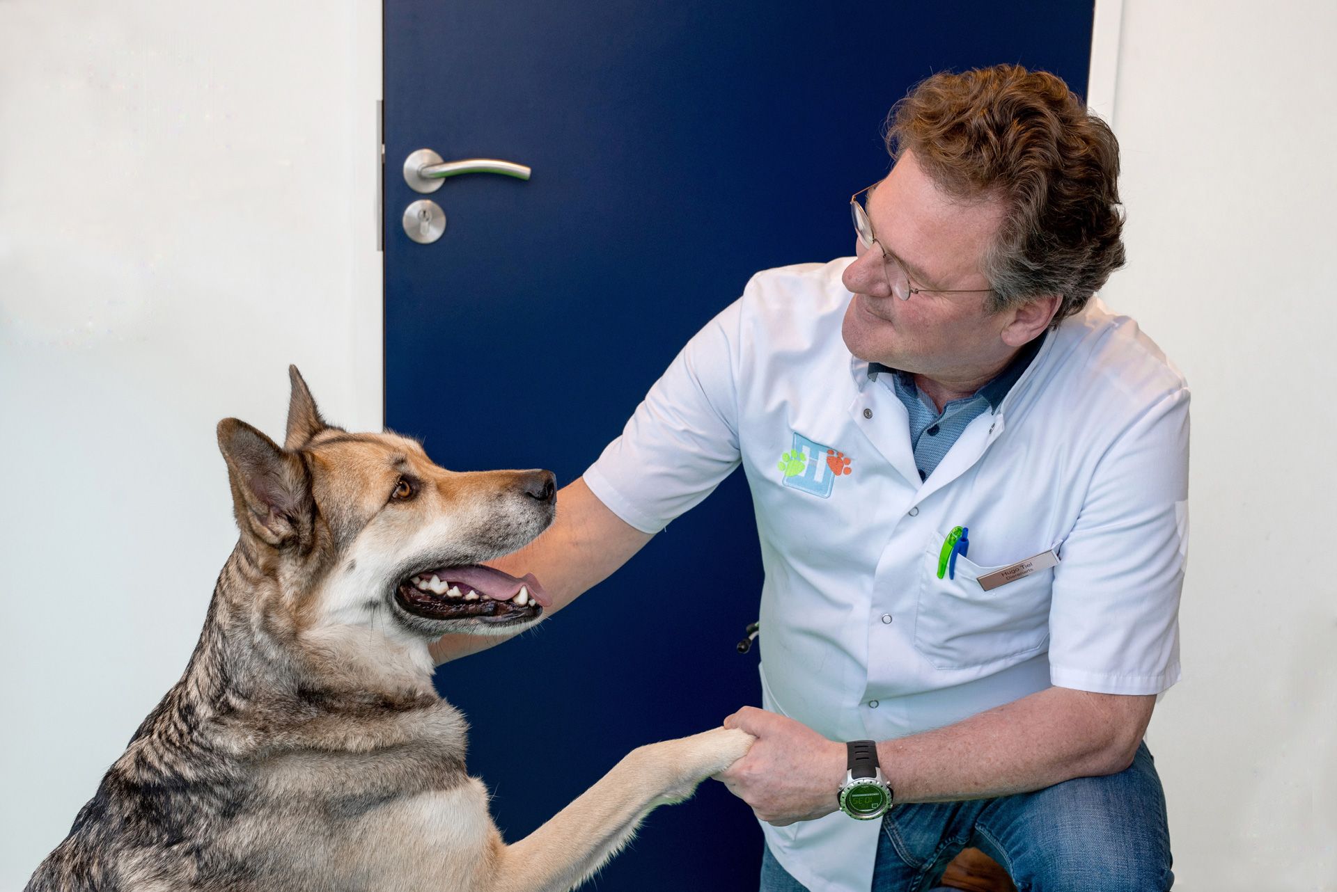 dierenarts Haarlem