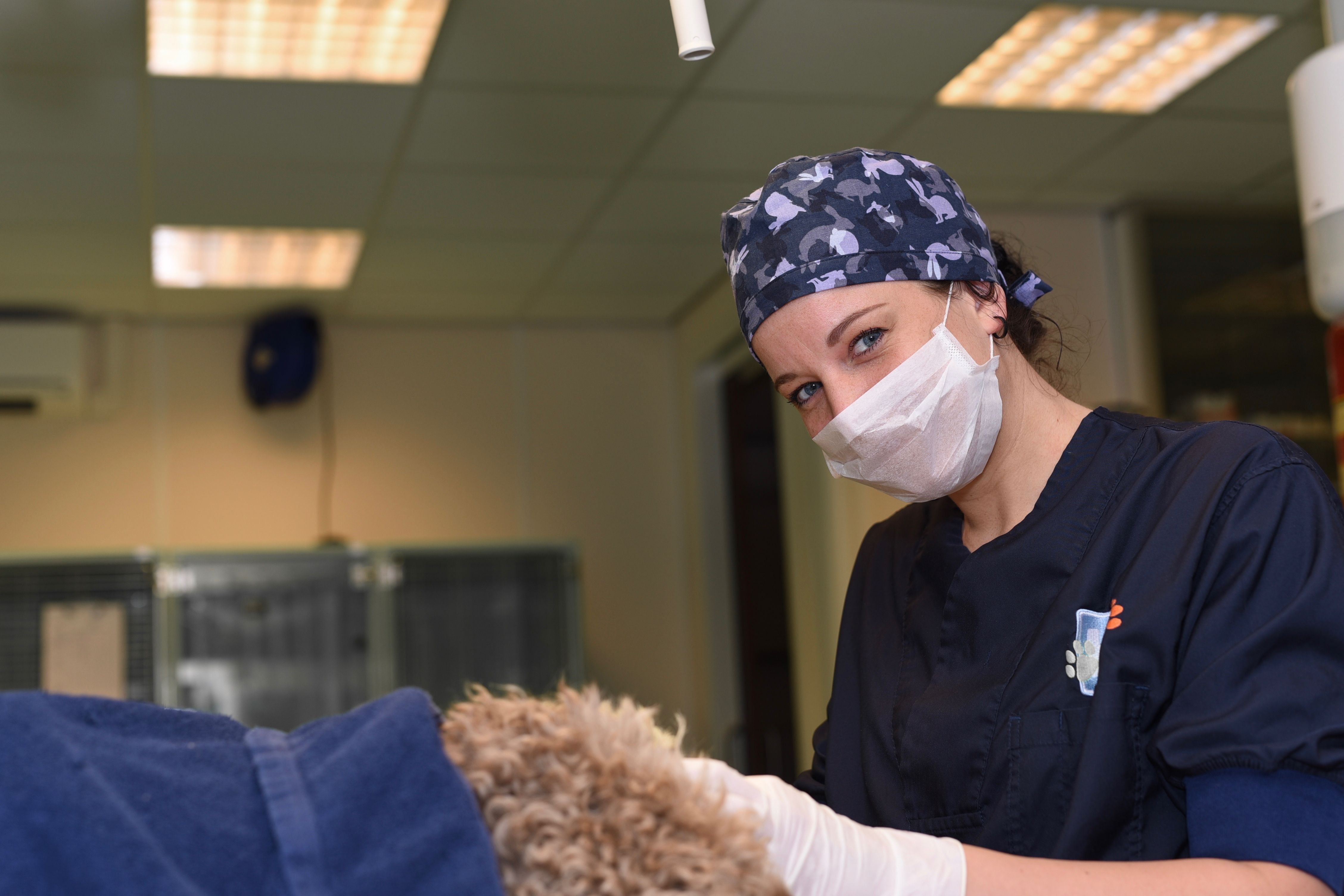 dierendokters zeist