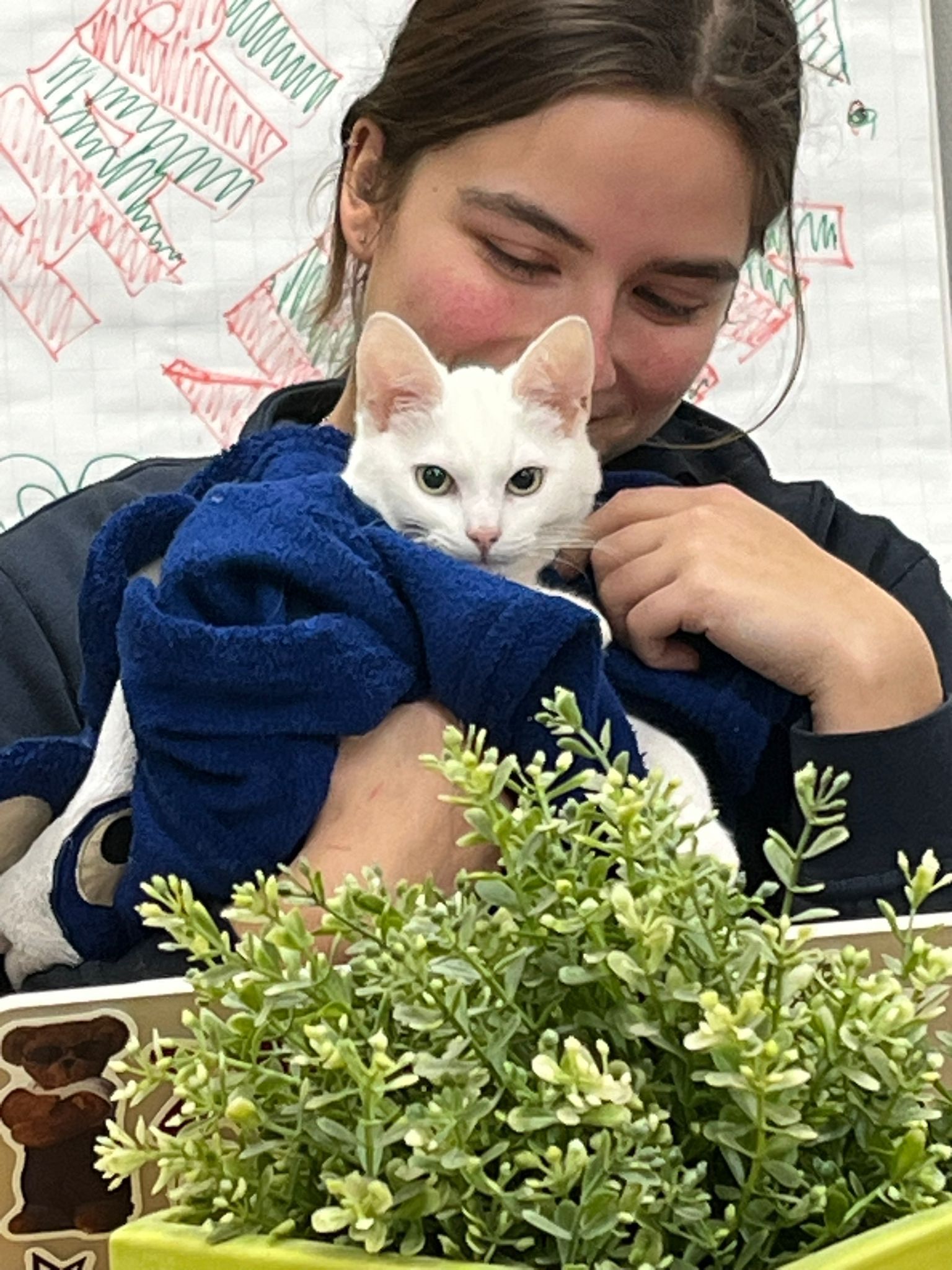 Francis paraveterinair