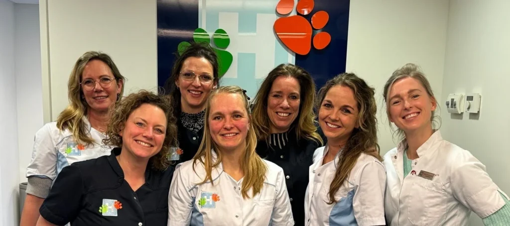 Team_Haarlem-71abd864