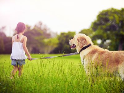 hond_met_kind