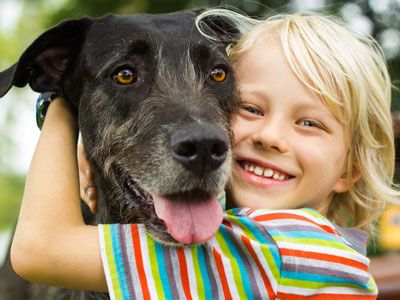 oudere_hond_2