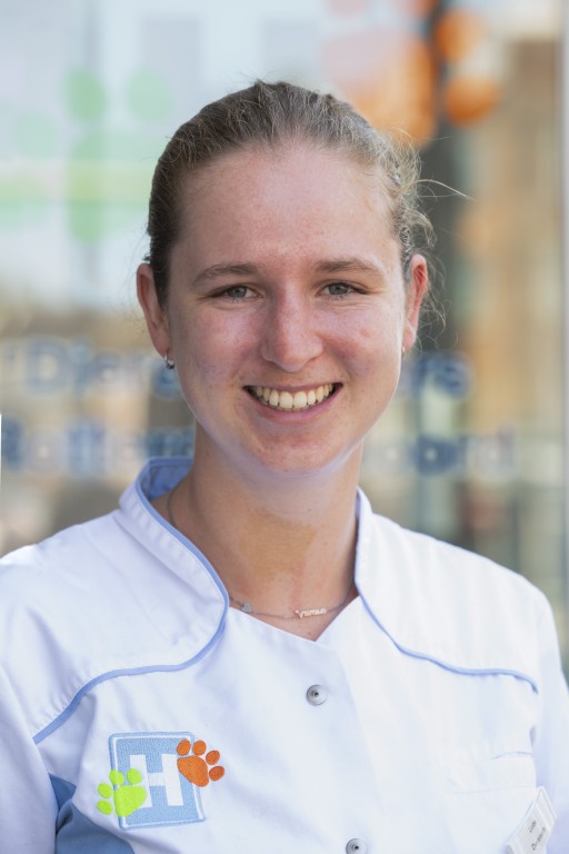 Lotte Dierenarts