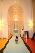 dierenkliniek_amsterdam